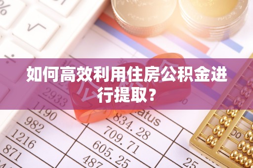 陇川如何高效利用住房公积金进行提取？