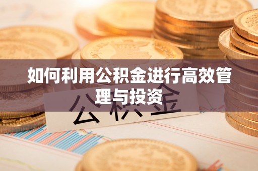 陇川如何利用公积金进行高效管理与投资
