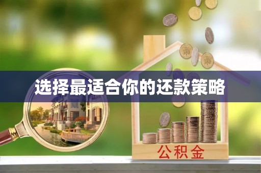 陇川选择最适合你的还款策略