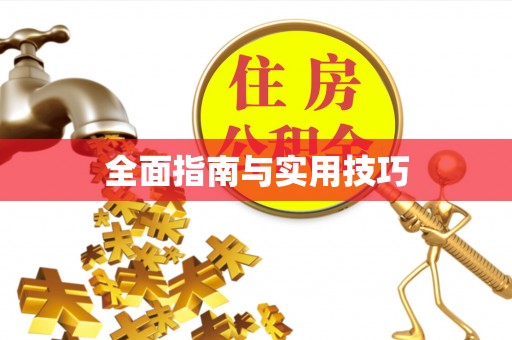 陇川全面指南与实用技巧
