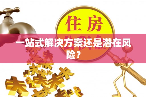 陇川一站式解决方案还是潜在风险？