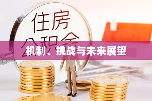 陇川机制、挑战与未来展望